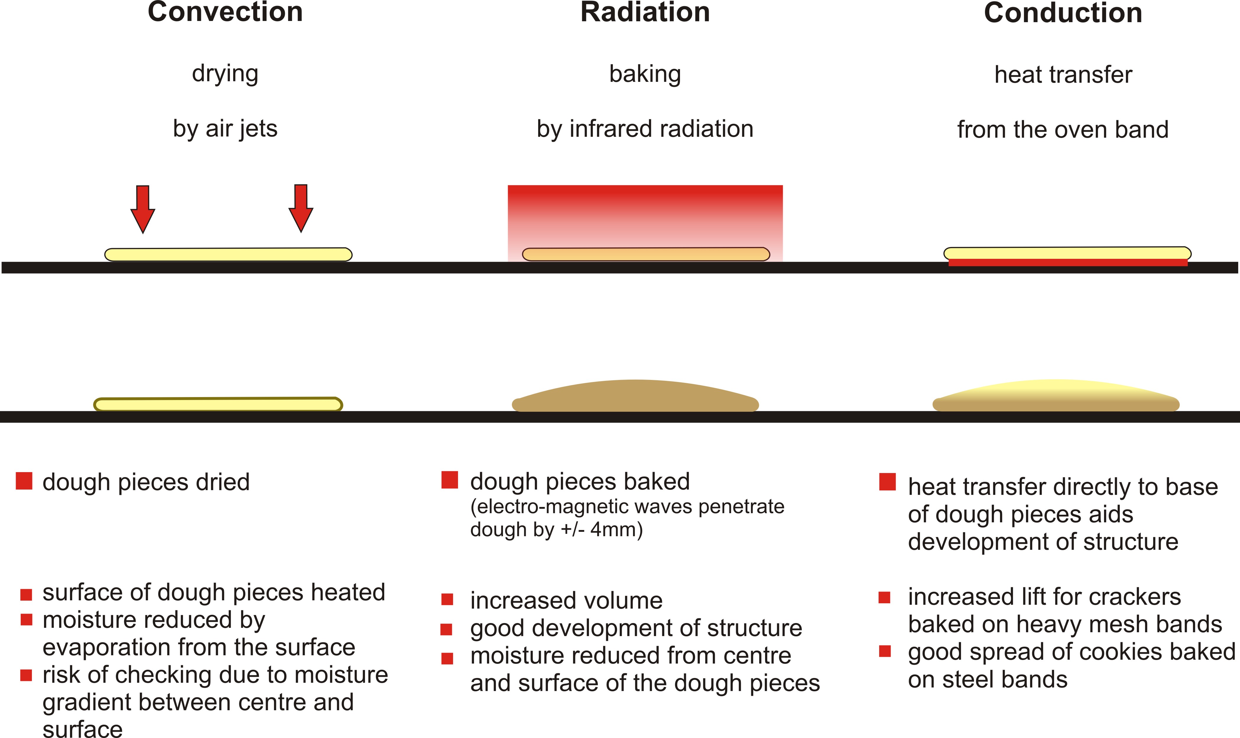 convection heat vs radiant heat